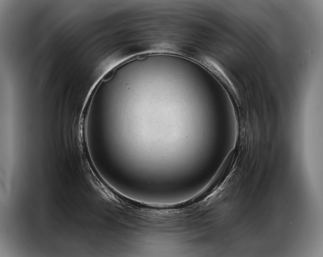 X0000087311292200704201203