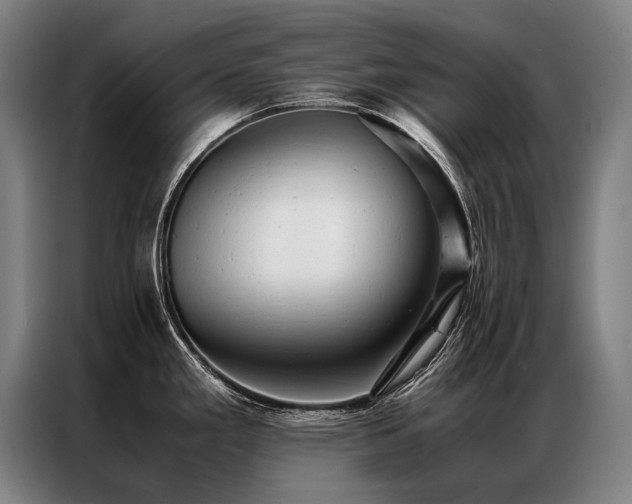 X0000087311293200704201203