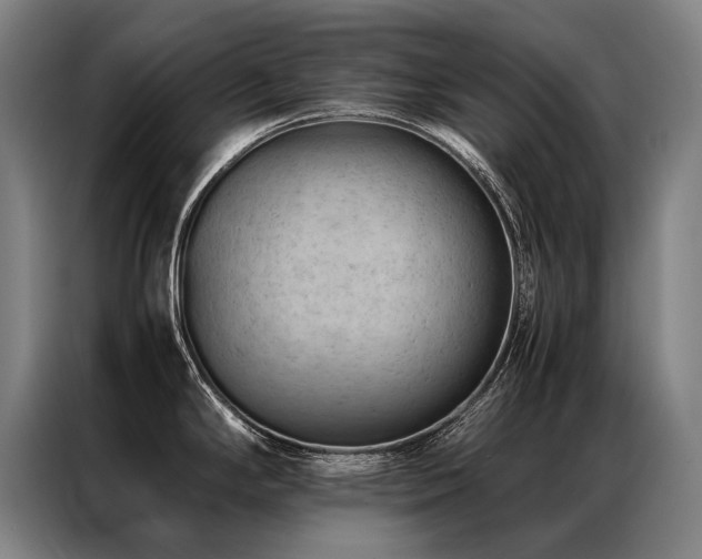 X0000087311294200704201203