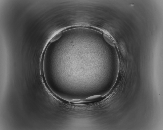 X0000087311295200704201203