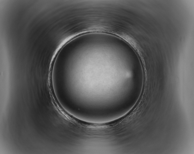 X0000087311296200704201203