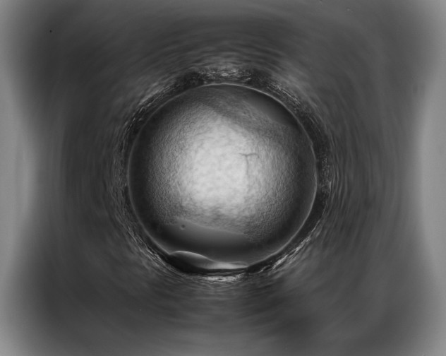 X0000087311297200704201203