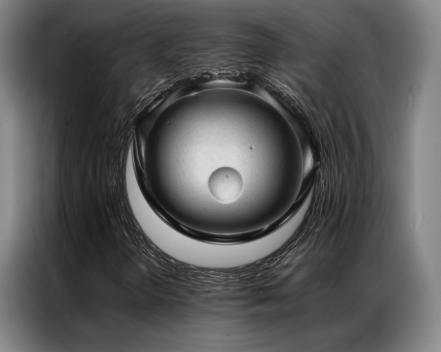 X0000087311298200704201203