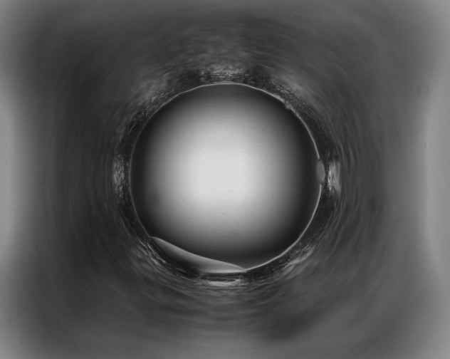 X0000087311299200704201203