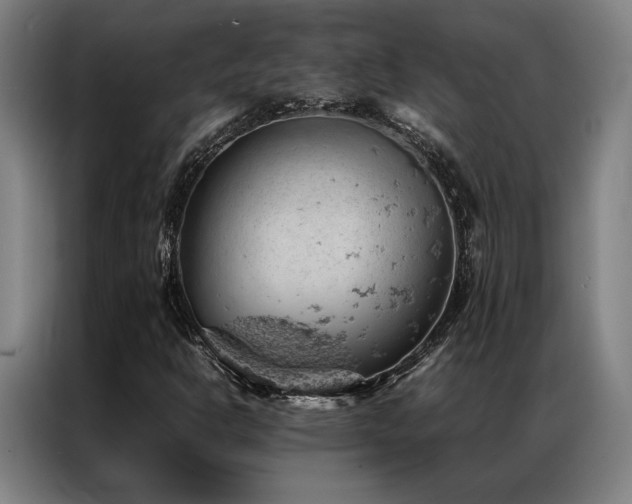 X0000087311302200704201203