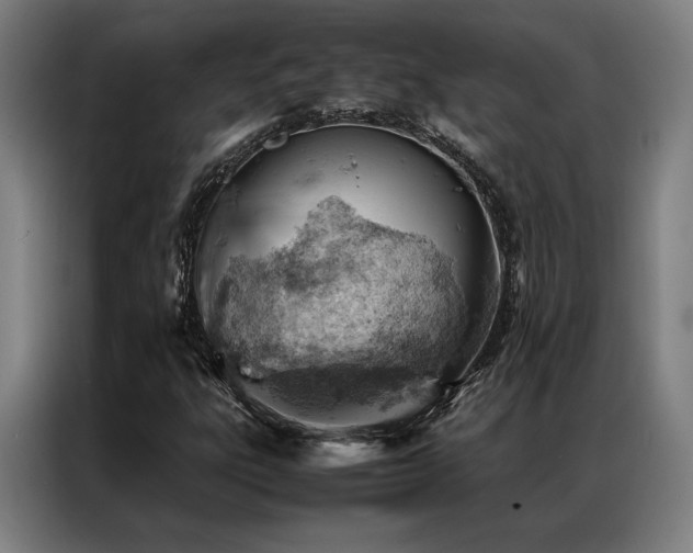 X0000087311303200704201203