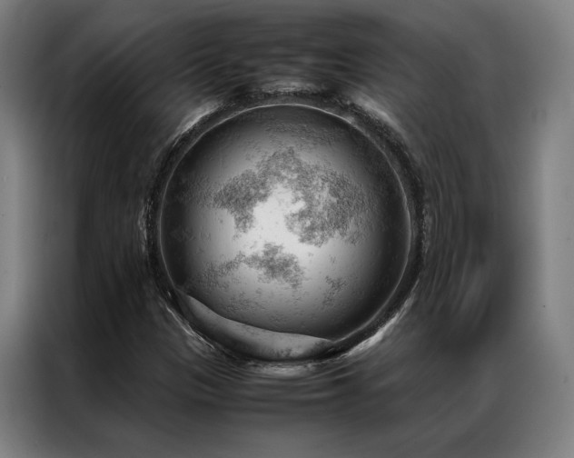 X0000087311305200704201203