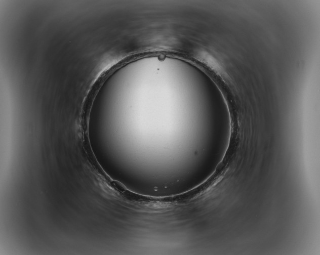 X0000087311308200704201203