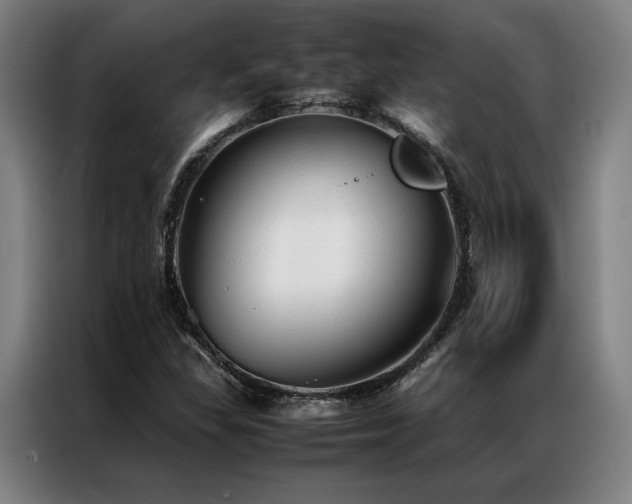 X0000087311309200704201203