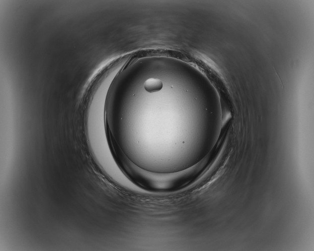X0000087311310200704201203