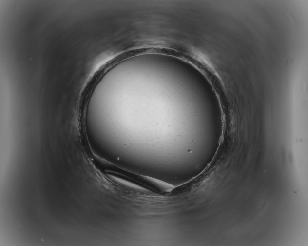 X0000087311312200704201203