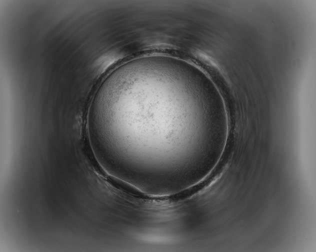 X0000087311313200704201203