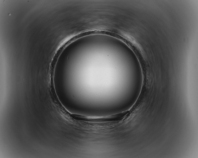 X0000087311316200704201203