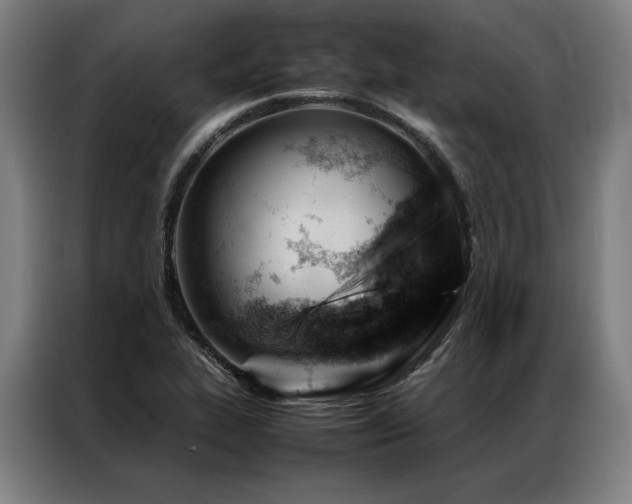 X0000087311319200704201203
