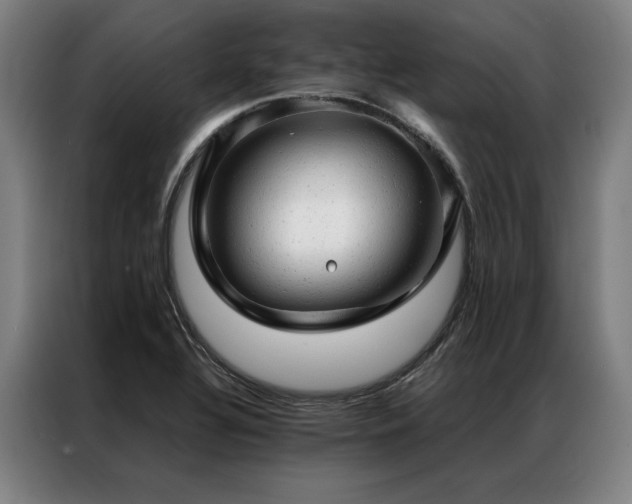 X0000087311320200704201203
