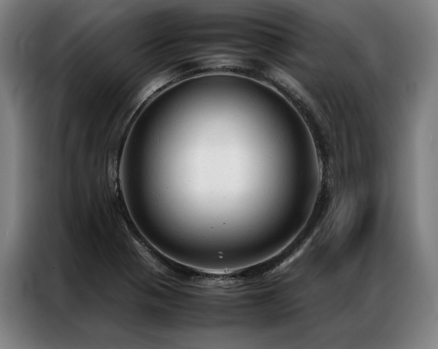 X0000087311321200704201203