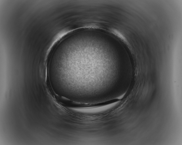 X0000087311323200704201203