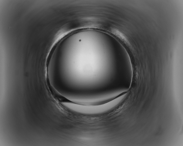 X0000087311324200704201203