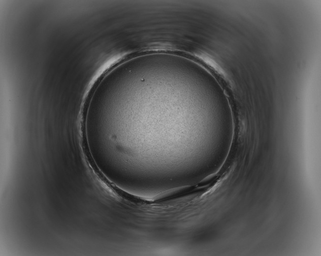 X0000087311325200704201203