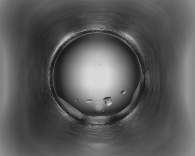 X0000087311326200704201203
