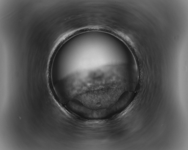 X0000087311327200704201203