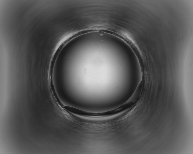 X0000087311328200704201203