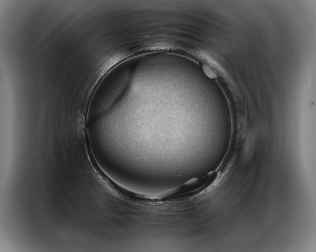 X0000087311329200704201203