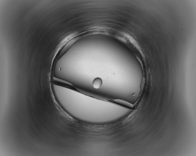 X0000087311330200704201203