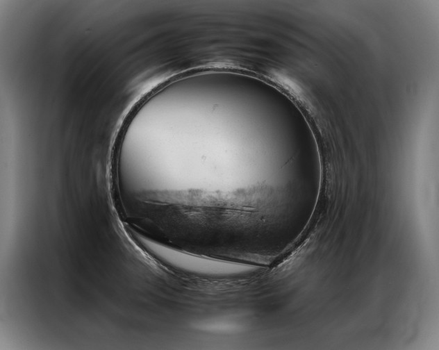 X0000087311331200704201203