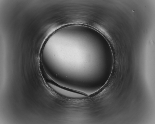 X0000087311332200704201203