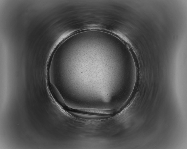 X0000087311333200704201203