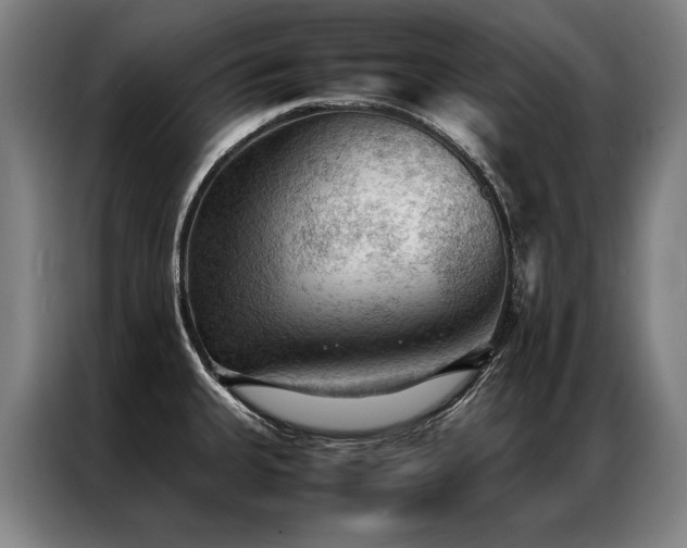 X0000087311335200704201203