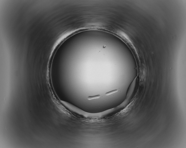 X0000087311336200704201203