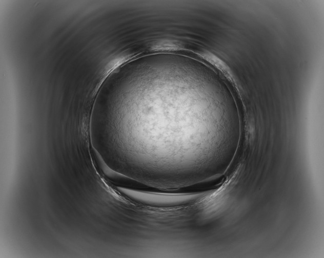 X0000087311337200704201203