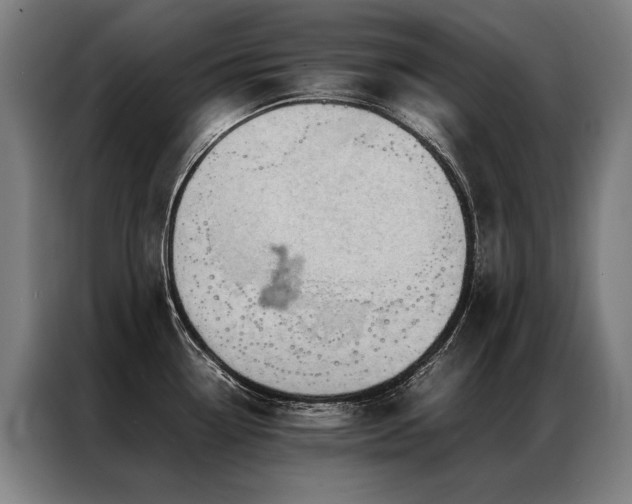 X0000087311338200704201203