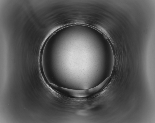 X0000087311339200704201203