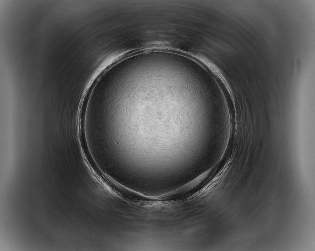 X0000087311341200704201203