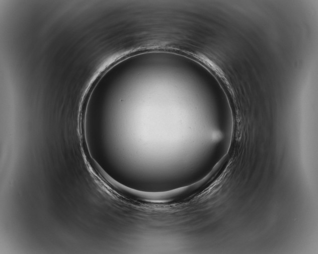 X0000087311342200704201203