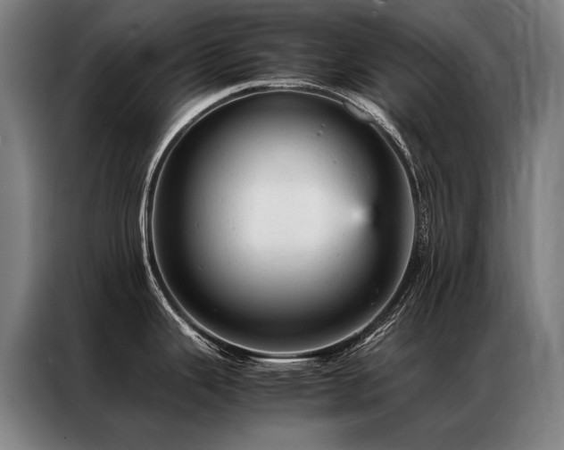 X0000087311343200704201203