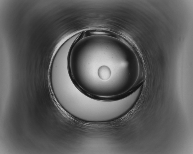 X0000087311344200704201203