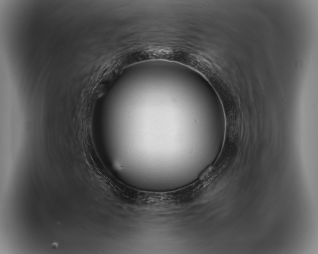 X0000087311345200704201203