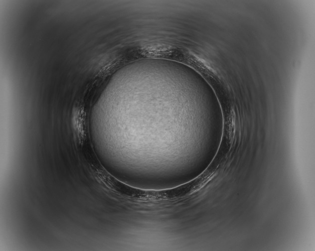 X0000087311346200704201203