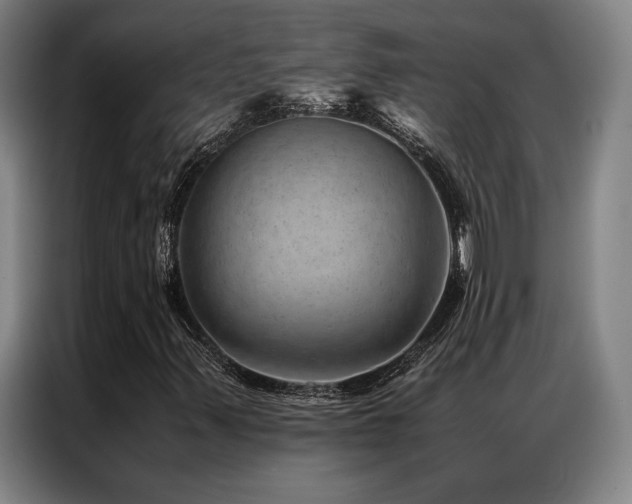 X0000087311347200704201203