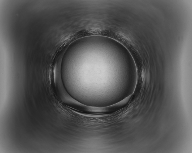 X0000087311348200704201203