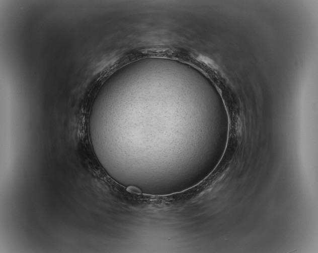 X0000087311350200704201203
