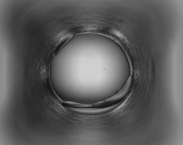 X0000087311353200704201203