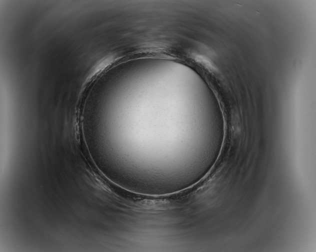 X0000087311354200704201203
