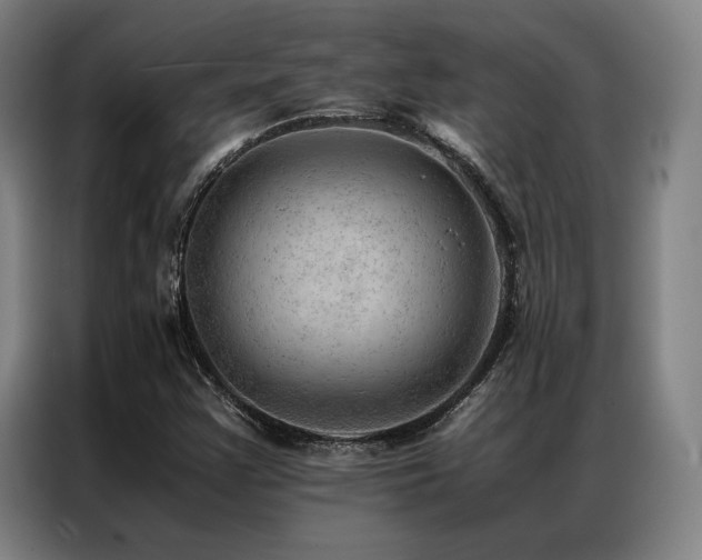 X0000087311355200704201203