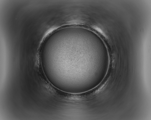 X0000087311358200704201203