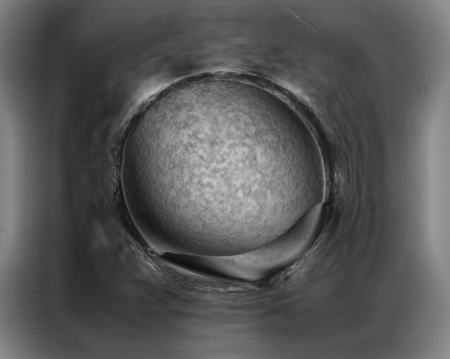 X0000087311359200704201202